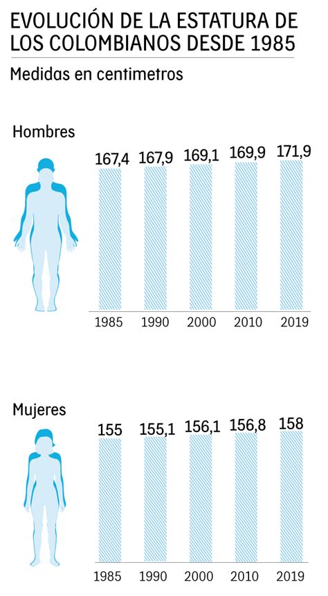 hombre aleman promedio|Estatura promedio de Alemania • Altura media